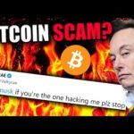 img_87616_the-elon-musk-bitcoin-scam-is-out-of-control.jpg