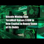 Bitcoin Mining Firm TeraWulf Raises $10M in New Capital to Repay Some of Its Debts