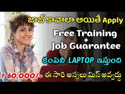 Career Camp Freshers | 100 % Job | Free Training + Job Guarantee | Coding Ninjas | Free Jobs