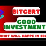 A Scam Or A Good Investment?  BITGERT BRISE TOKEN CRYPTO 🔥🤑