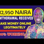 12,950 Naira Withdrawal Received From This Platform: How To Make Money Online In Nigeria 2023