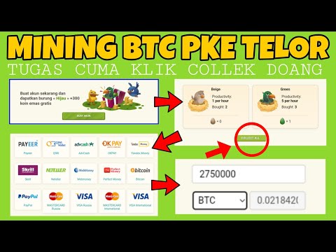 BURUNG PENGHASIL BITCOIN GRATIS TANPA DEPOSIT | MINING BITCOIN