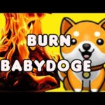 CRYPTO NEWS: BURN MASSIVE BABYDOGE | BLOKCHAIN BITCOIN ANNIVERSAIRE #14 ANS D'EXISTENCE