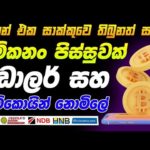 img_88957_free-bitcoin-100-every-day-new-bitcoin-mining-app-2023-free-bitcoin-2023-eurolanka-emoney-bicoin.jpg