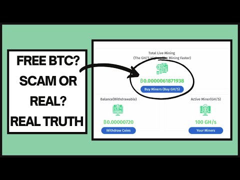 Whalesmining.com Review: Is It A Scam Or A Legit Bitcoin Site? (Real Truth)