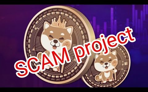 Shibainu finance Big Scam Project || Crypto Scam ||