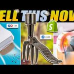 Sell These 8 Winning Products And Make Money Online Dropshipping  | Sell This Now