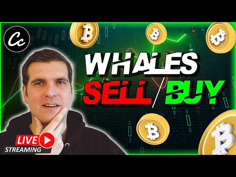 ⚠ WHALES SELLING OR BUYING ⚠ BITCOIN BULL RUN OR BEAR RALLY? Bitcoin Technical Analysis