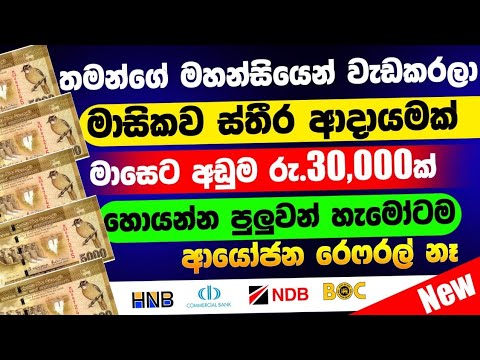 Earn Money Online Sinhala | Free Earnig can Student Sinhala | Make money Online Free Website 2022