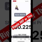Ripple XRP or This Shiba Samurai #crypto #xrp #bitcoin #scamcoin #shitcoin