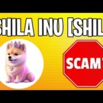 Is Shila Inu a Scam? Checking $SHIL Crypto Coin for Fraud