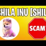 img_90389_is-shila-inu-a-scam-checking-shil-crypto-coin-for-fraud.jpg