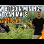 How Bitcoin Mining saved these Animals in Africa 🦁🐵🥹 | Crypto Mining India & Africa