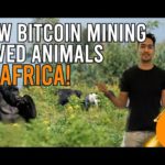 img_90926_how-bitcoin-mining-saved-these-animals-in-africa-crypto-mining-india-amp-africa.jpg