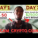 img_91346_the-cryptocurrency-nightmare-you-should-avoid-scam-crypto-coins-urgent-warning.jpg