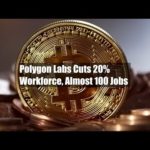 img_91433_polygon-labs-cuts-20-workforce-almost-100-jobs.jpg