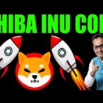 img_91630_shiba-inu-coin-news-today-shibarium-network-news-crypto-marg-rajeev-anand-crypto-news-today.jpg