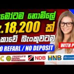 img_91640_online-job-sinhala-e-money-site-sinhala-online-jobs-at-home-online-jobs-sri-lanka-part-time.jpg