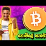 img_91680_free-bitcoin-earn-site-online-job-srilanka-e-money-sinhala-emoney-srilanka-crypto-currency-gl-sl.jpg