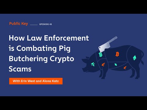 Public Key: How Law Enforcement is  Combating Pig Butchering Crypto Scams - Ep 45