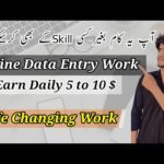 Data entry jobs online from home|Online data entry jobs|Online data entry|Data entry|Hamza MalikTech