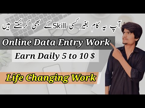 Data entry jobs online from home|Online data entry jobs|Online data entry|Data entry|Hamza MalikTech