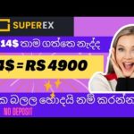 How To Earn Online Money Sinhala 2023 | online job at home