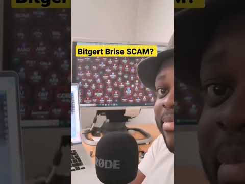 Bitgert Brise Crypto Project A SCAM?