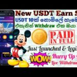 New USDT Earn Site 2022 | Online Jobs at Home | How to Make Money Online | Emoney 2023