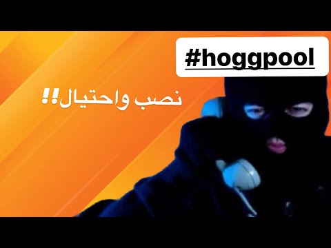 Hoggpool حلم الثراء السريع ونصب شركات الكريبتو!!  #hoggpool #cryptocurrency #crypto #egypt #scam