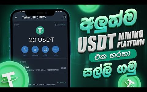 How to make money online 2023 | Recommend USDT earning platform | Daily income & Instant withdrawals