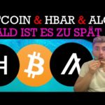 img_93076_bitcoin-adaption-findet-statt-hbar-einfach-stark-algorand-neuer-partner-krypto-news.jpg