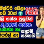 Free USDT Earn Site Sinhala | How To Make Money Online | Passive Income Sinhala