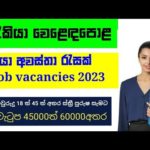 img_93403_new-job-vacancies-2023-in-srilanka-today-job-vacancies-job-binance-bitcoin-crypto.jpg