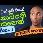 🙃 We need a President like this ! New Jobs Report - What's going on with Bitcoin? - Sinhala