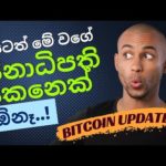 img_93643_we-need-a-president-like-this-new-jobs-report-what-39-s-going-on-with-bitcoin-sinhala.jpg