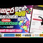 img_93709_online-business-new-how-to-earn-money-online-part-time-job-at-home-e-money-sinhala-2023.jpg