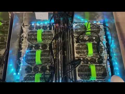 Submerging #bitcoin mining ACICs in a thermally conductive liquid increases the energy efficiency