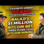 img_93947_favorite-miners-scams-balaji-39-s-1-million-bitcoin-bet-three-plebs-talk-bitcoin-mining.jpg