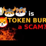 Is Token Burn a SCAM? | Telugu Crypto Daily