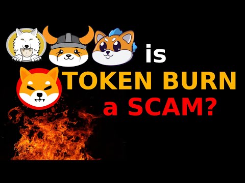 Is Token Burn a SCAM? | Telugu Crypto Daily