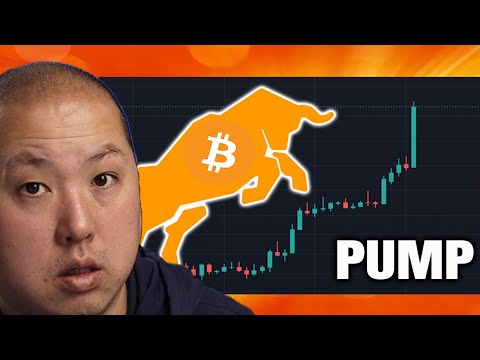 BITCOIN BULLS ARE BACK!!!