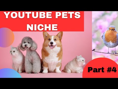 What are the most popular niches to make money online? | Part #4 | PETS NICHE