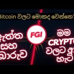 img_94930_my-crypto-journey-is-fgi-indicator-a-scam-what-39-s-going-on-with-bitcoin-sinhala.jpg
