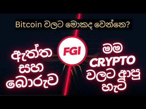 My Crypto Journey -  Is FGI Indicator a Scam? - What's going on with Bitcoin ? - Sinhala