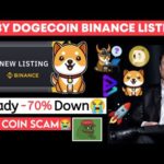 img_95500_baby-dogecoin-listing-binance-milady-coin-dump-70-pepe-coin-scam-baby-dogecoin-bitgert-floki-inu.jpg