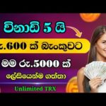 img_96000_e-money-sinhala-online-jobs-at-home-unlimited-trx-payment-proof-binance-transfer-crypto.jpg