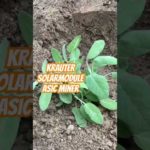 img_96122_krauter-trocknung-mit-abfallprodukt-warmluft-aus-bitcoin-mining.jpg