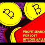 img_96318_profit-searching-for-lost-bitcoin-wallets-bitcoin-lottery.jpg