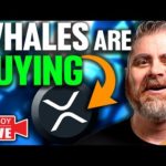 XRP MEGA RALLY! (Crypto Whales BUYING)